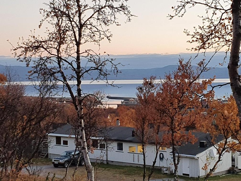 Varangertunet Arctic Resort Jakobselv Bagian luar foto