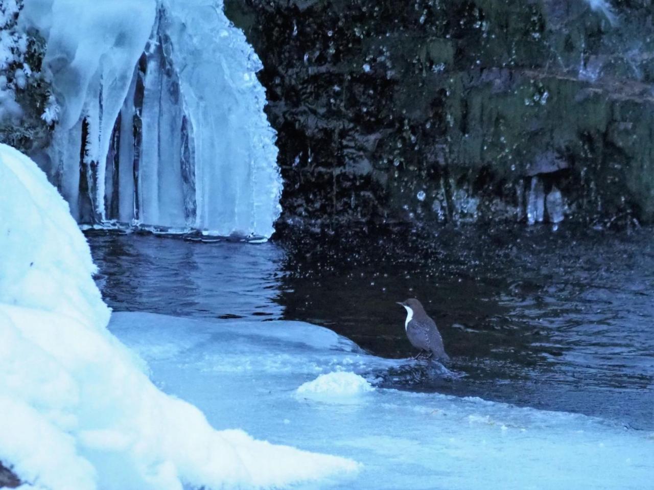 Varangertunet Arctic Resort Jakobselv Bagian luar foto