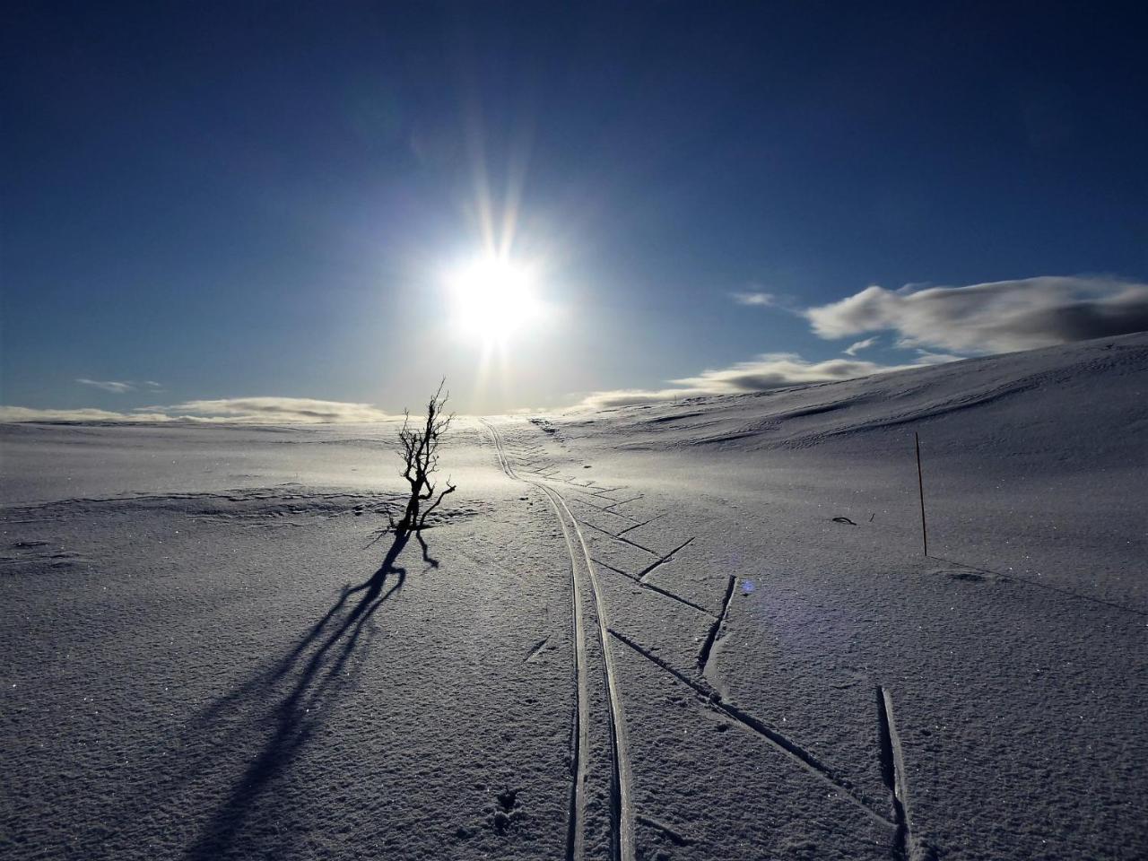 Varangertunet Arctic Resort Jakobselv Bagian luar foto