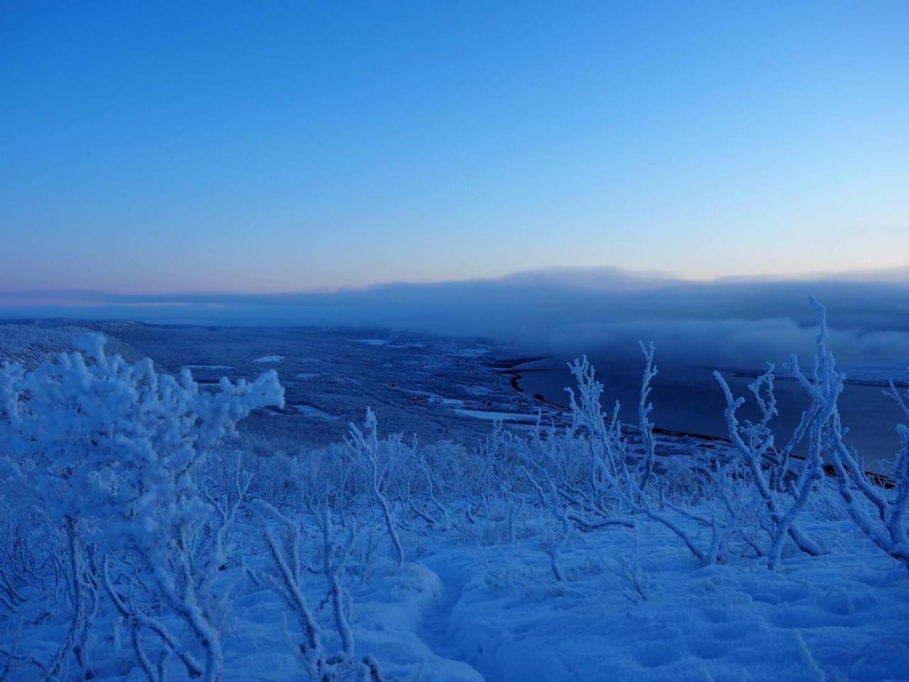 Varangertunet Arctic Resort Jakobselv Bagian luar foto
