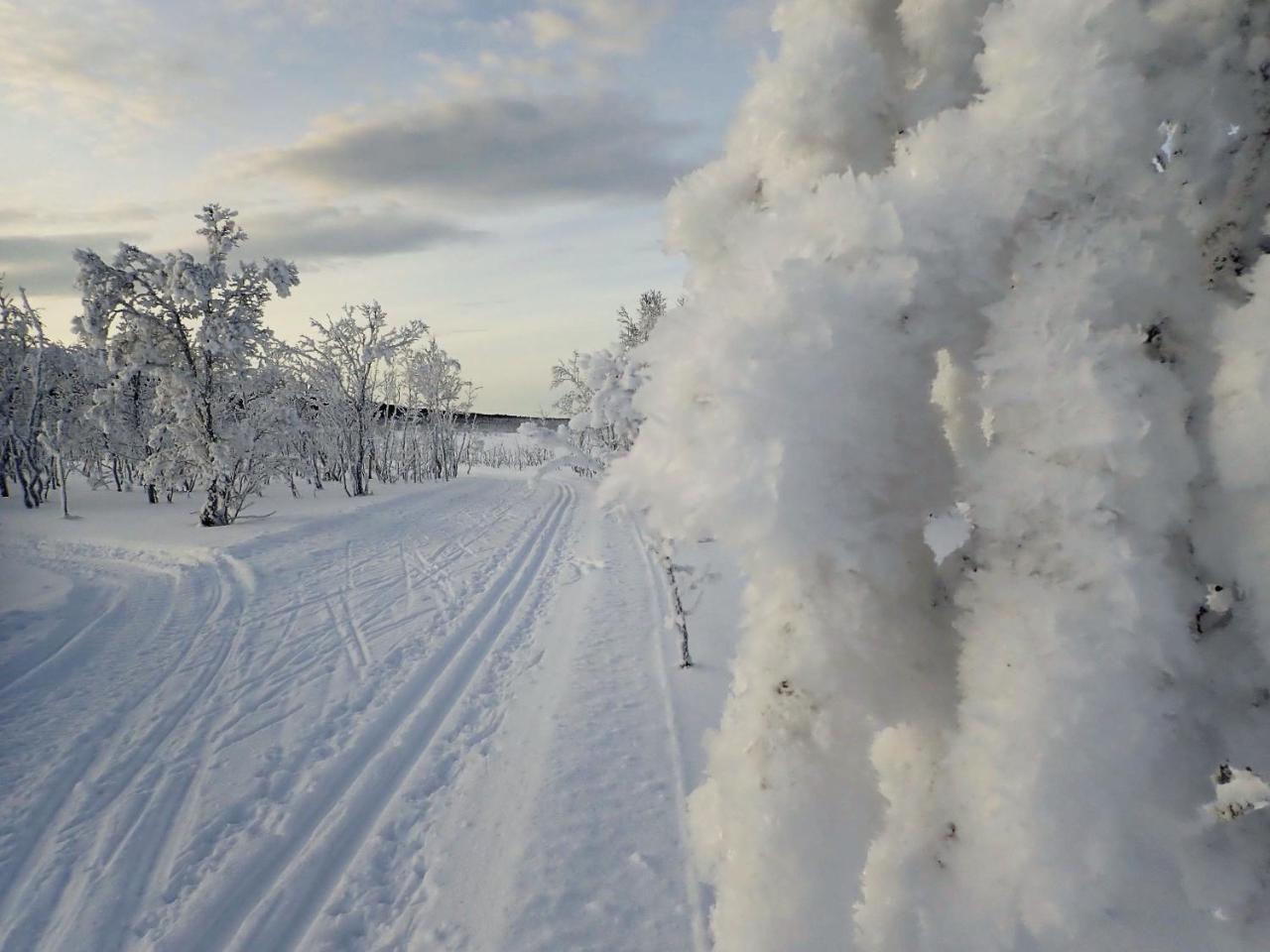 Varangertunet Arctic Resort Jakobselv Bagian luar foto